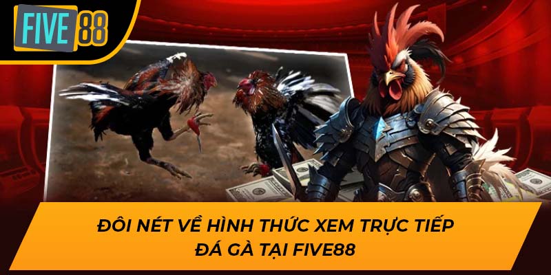 Trải Nghiệm Hấp Dẫn Khi Xem Trực Tiếp Đá Gà Cùng Five88 2 Đôi nét về hình thức xem trực tiếp đá gà tại Five88