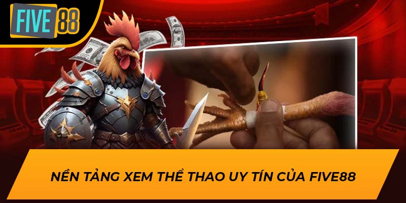 Trải Nghiệm Hấp Dẫn Khi Xem Trực Tiếp Đá Gà Cùng Five88 3 Nền tảng xem thể thao uy tín của Five88