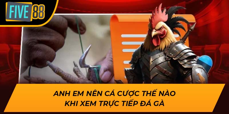 Trải Nghiệm Hấp Dẫn Khi Xem Trực Tiếp Đá Gà Cùng Five88 4 Anh em nên cá cược thế nào khi xem trực tiếp đá gà