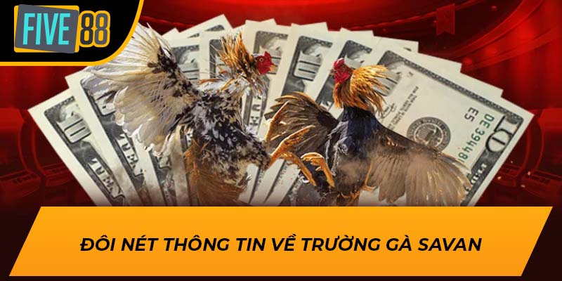 Khám Phá Thế Giới Đặc Sắc Của Trường Gà Savan tại Five88 2 Đôi nét thông tin về trường gà Savan