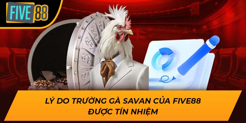 Khám Phá Thế Giới Đặc Sắc Của Trường Gà Savan tại Five88 3 Lý do trường gà Savan của Five88 được tín nhiệm